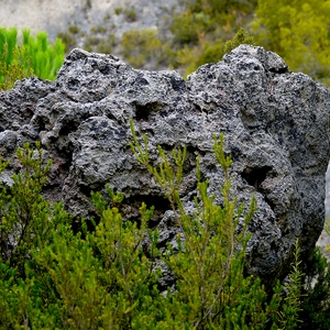 Rocher de lave entouré de végétation - France  - collection de photos clin d'oeil, catégorie paysages